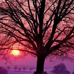 Meet your Posher, Gretchen